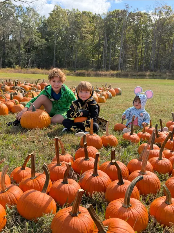 Tri Corner Landfill Pumpkin Patch