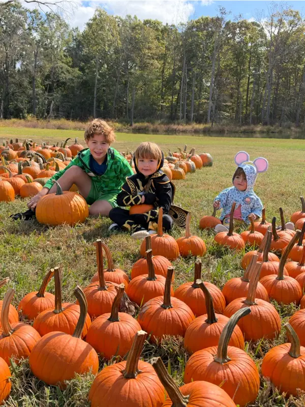 Tri Corner Landfill Pumpkin Patch