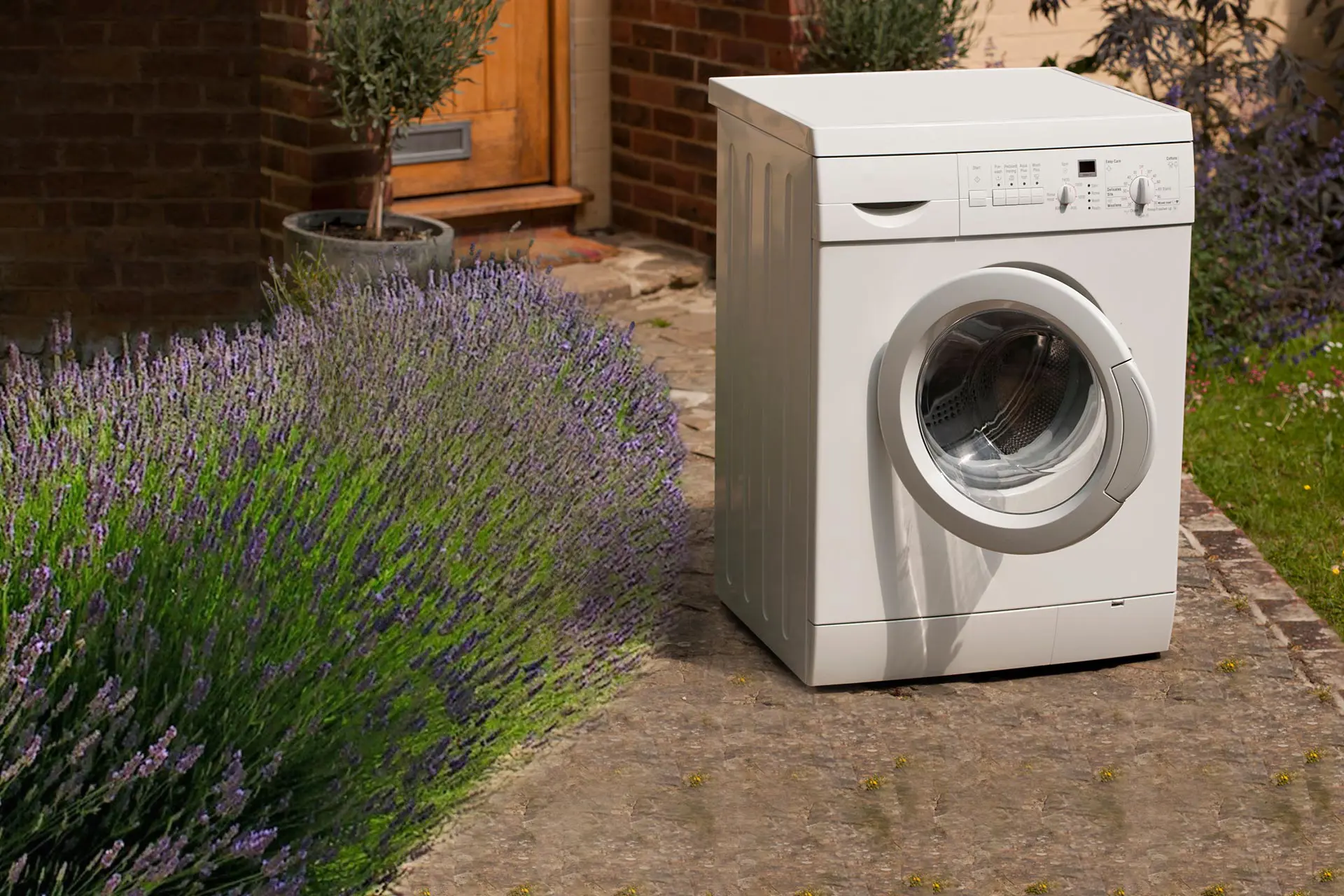 Parallax White Goods