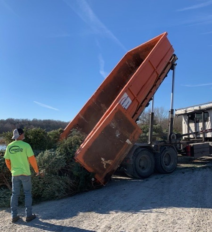 Clean Christmas Trees are Returning to the Environment Creating Fish Habitat for Missouri