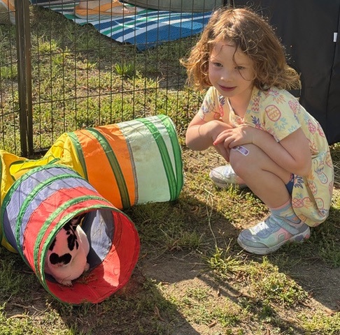 bunny-guest-at-petting-zoo-4-19-2025.jpg