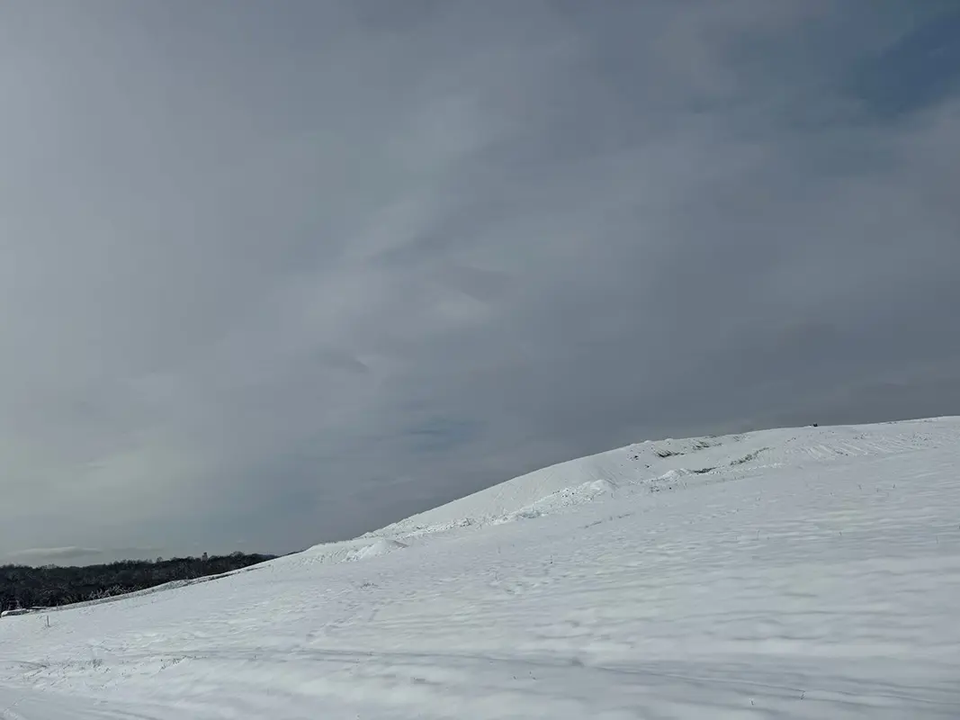 knoxville_hauling_snow_2.jpg
