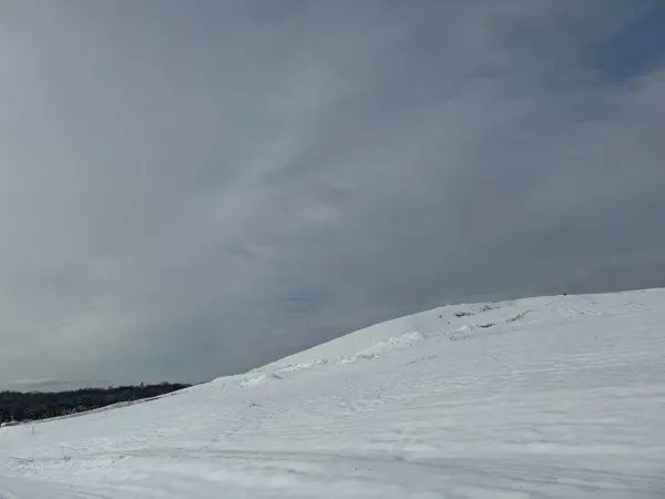 knoxville_hauling_snow_2.jpg