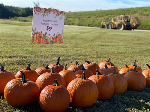 Photo 2 Small Pumpkins