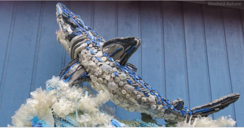 Trash Washed Ashore Becomes Art With a Mission 