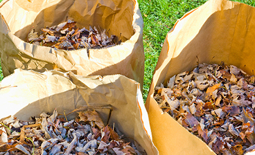 Residential Yard Waste Pickup