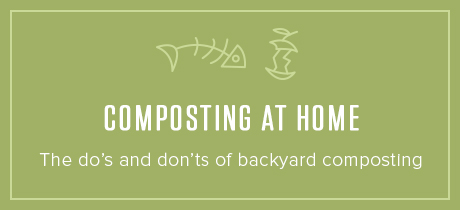 Composting at Home: Do's and Don'ts