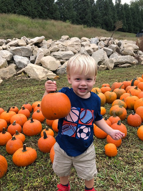 Pumpkin Patch Picker