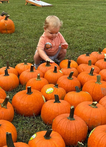 pumpkin-patch.jpg