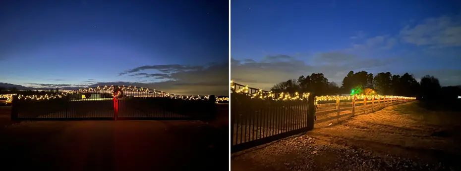 shotwell_christmas_lights.jpg