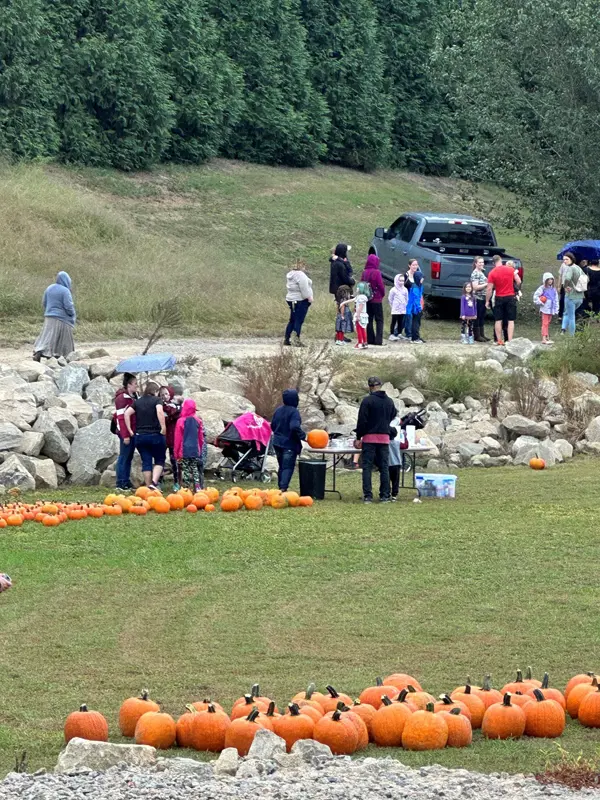 pumpkin_patch_crowd.jpg