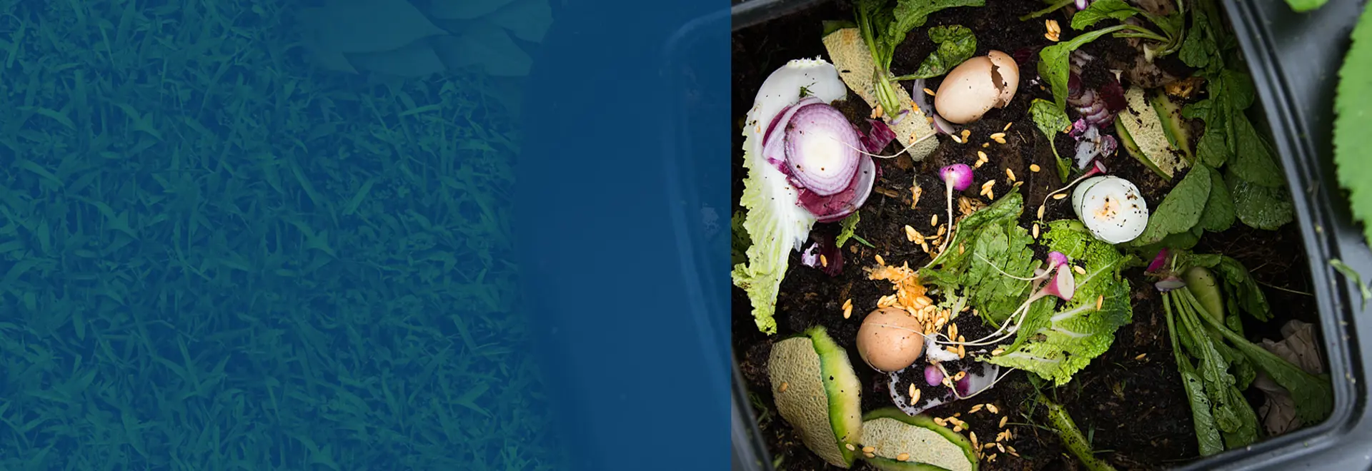 Compost Home