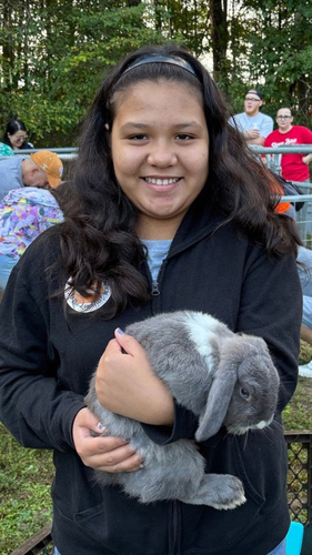 petting-zoo.jpg