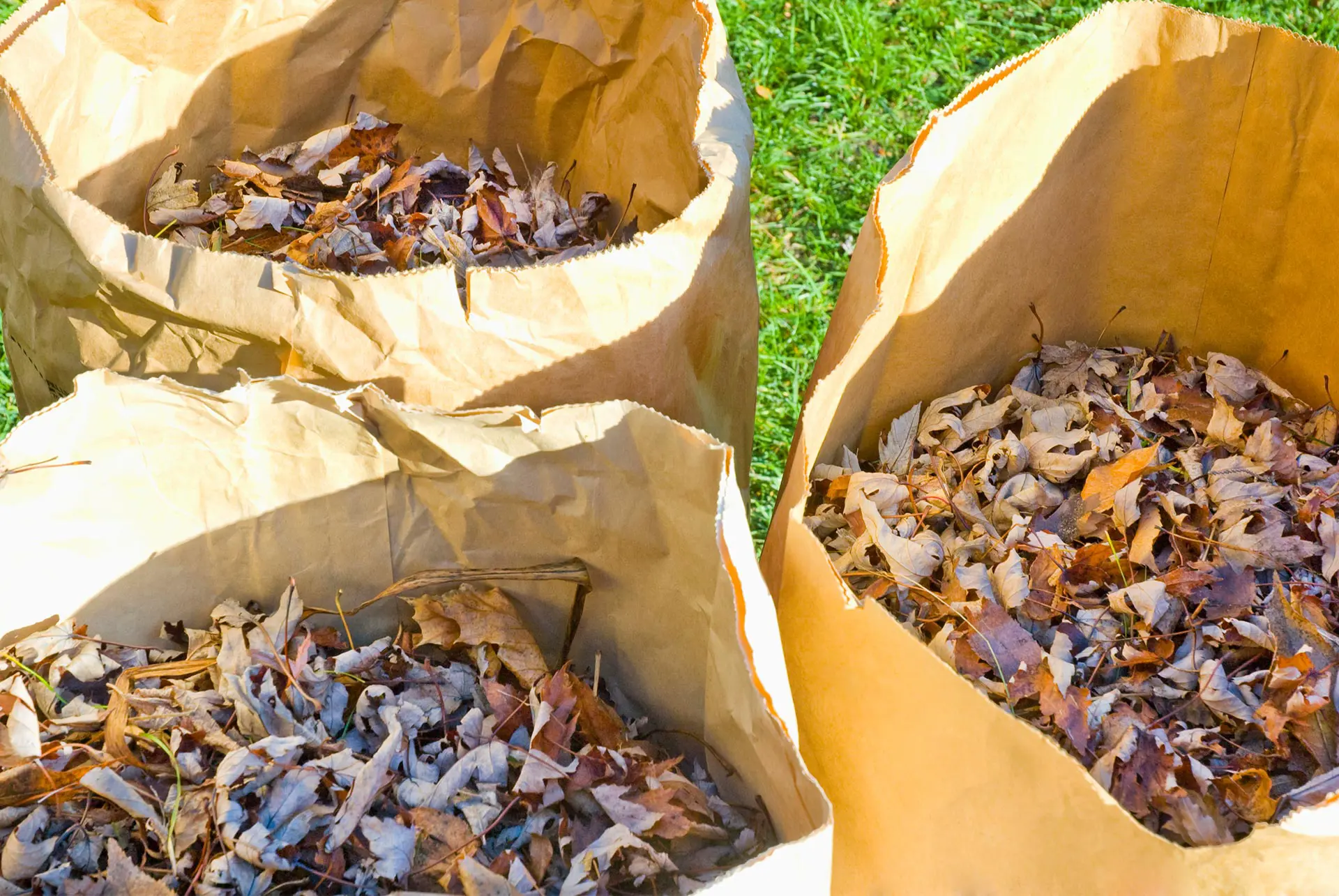 Parallax Yard Waste